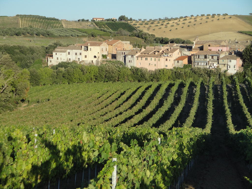 Agriturismo La Valle Di Ceri Cerveteri Exteriör bild